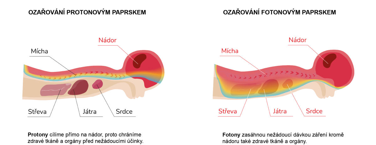 deti-1-150x.png (263 KB)