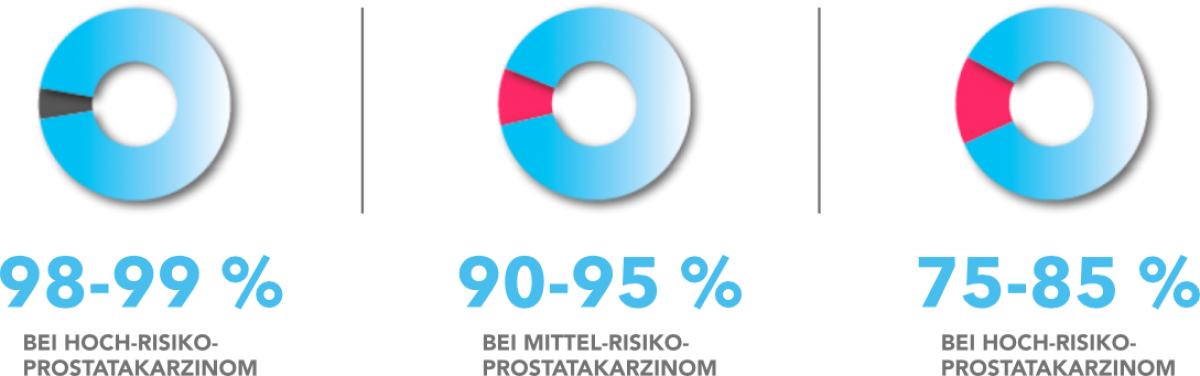 prostata-3-de.png (136 KB)